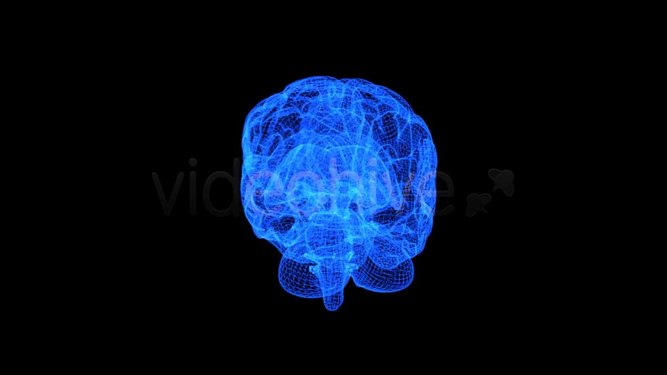 Brain 3D Wireframe Spinning Formation Videohive 7895867 Motion Graphics Image 7
