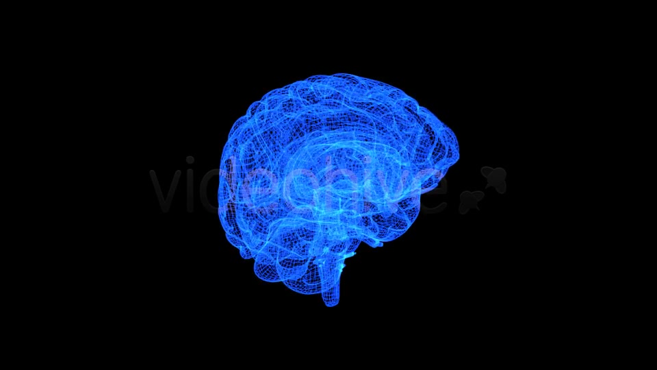 Brain 3D Wireframe Spinning Formation Videohive 7895867 Motion Graphics Image 8