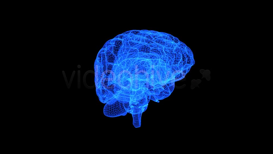 Brain 3D Wireframe Spinning Formation Videohive 7895867 Motion Graphics Image 9