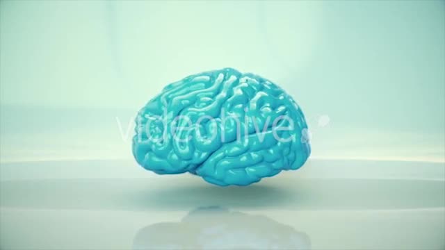 Brain Rotating - Download Videohive 20617503