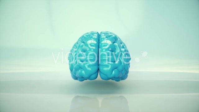 Brain Rotating - Download Videohive 20617503