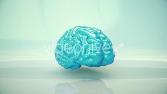 Brain Rotating - Download Videohive 20617503