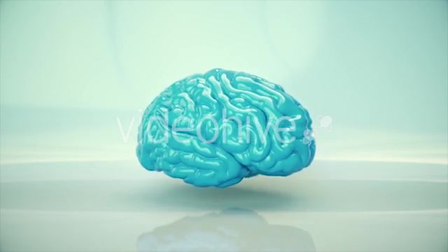 Brain Rotating - Download Videohive 20617503