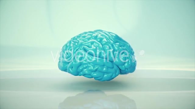 Brain Rotating - Download Videohive 20617503