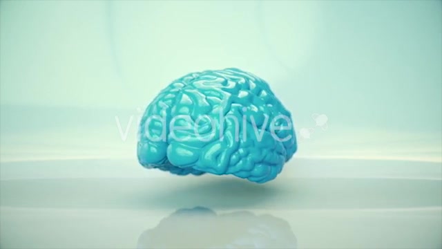 Brain Rotating - Download Videohive 20617503