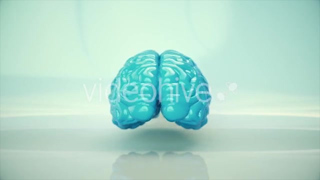 Brain Rotating - Download Videohive 20617503