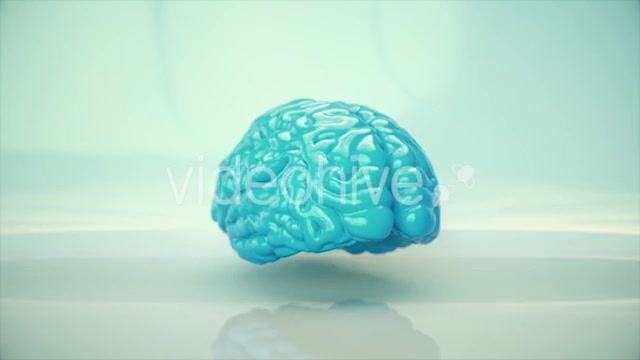 Brain Rotating - Download Videohive 20617503