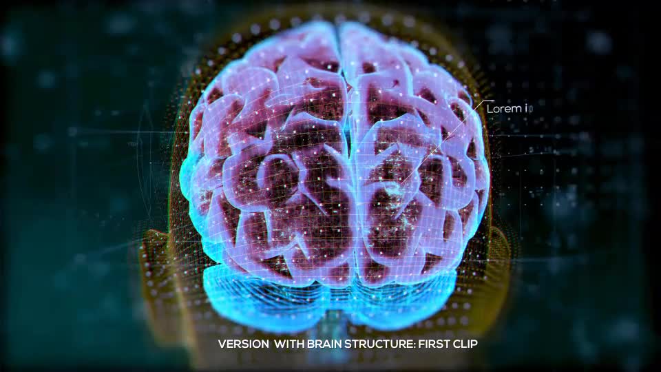 Brain Structure (4 pack) Videohive 24089741 After Effects Image 1