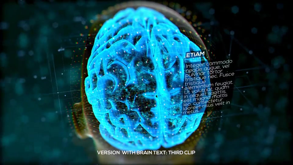 Brain Structure (4 pack) Videohive 24089741 After Effects Image 11