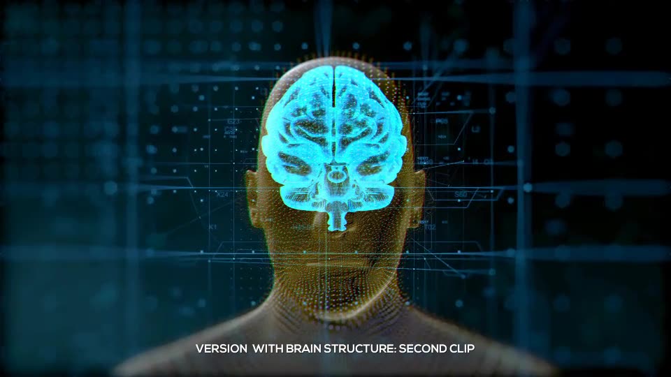 Brain Structure (4 pack) Videohive 24089741 After Effects Image 2