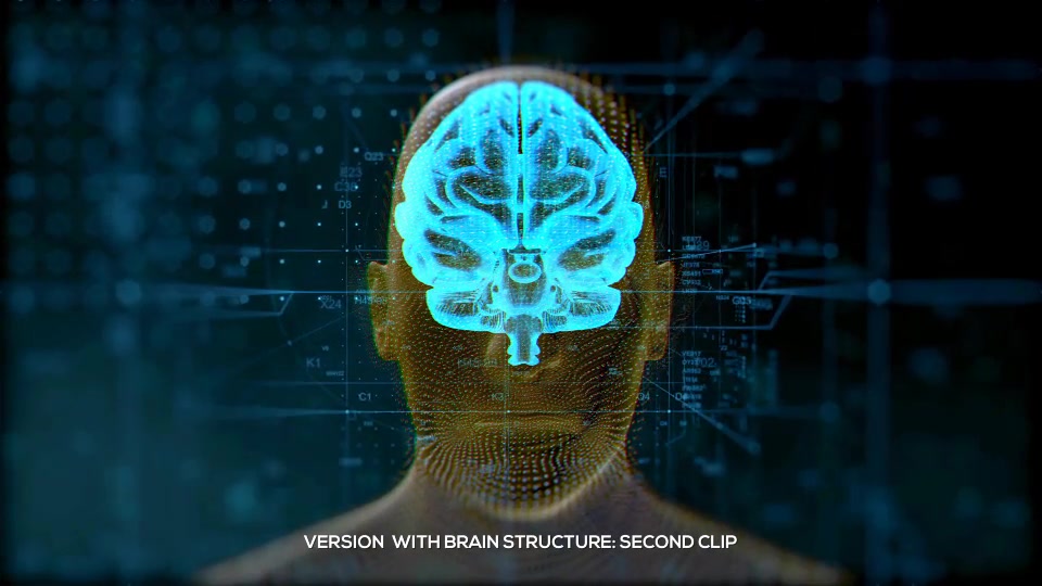 Brain Structure (4 pack) Videohive 24089741 After Effects Image 3