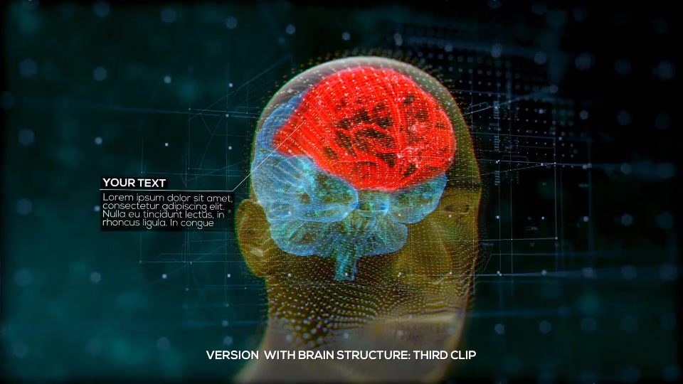 Brain Structure (4 pack) Videohive 24089741 After Effects Image 4