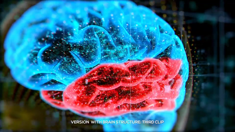 Brain Structure (4 pack) Videohive 24089741 After Effects Image 5