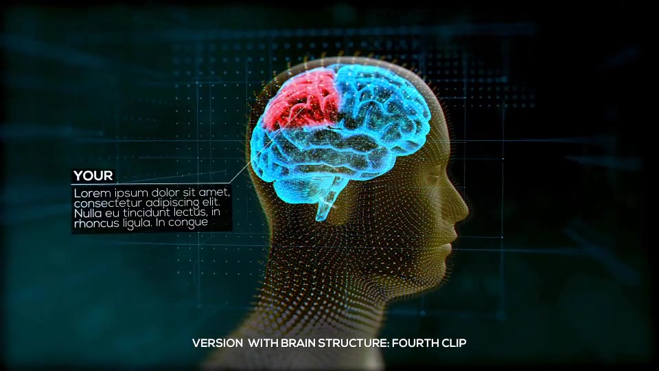 Brain Structure (4 pack) Videohive 24089741 After Effects Image 6
