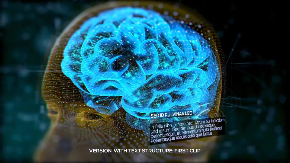 Brain Structure (4 pack) Videohive 24089741 After Effects Image 7