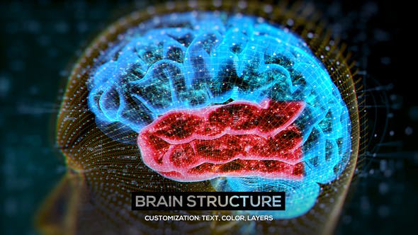 Brain Structure (4 pack) - Videohive Download 24089741