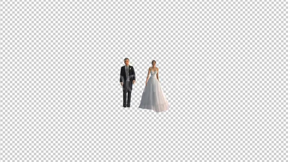 Bride And Groom - Download Videohive 19419816