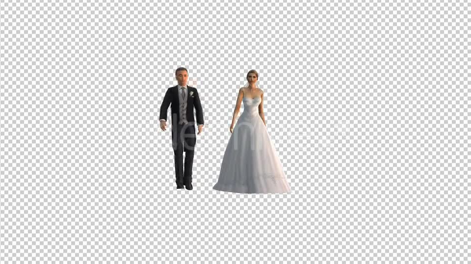 Bride And Groom - Download Videohive 19419816
