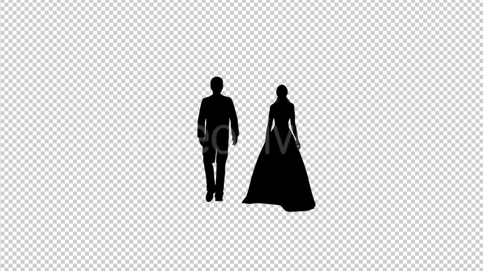 Bride And Groom Silhouette - Download Videohive 19419831