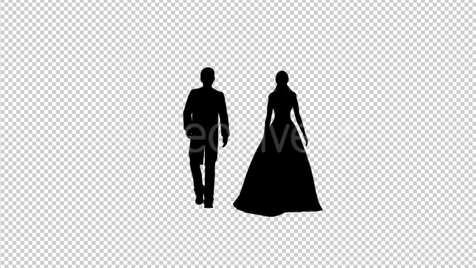 Bride And Groom Silhouette - Download Videohive 19419831