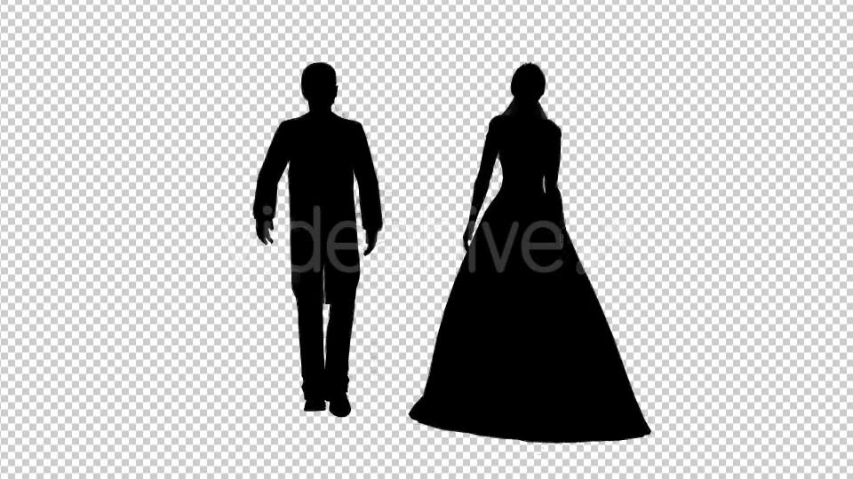 Bride And Groom Silhouette - Download Videohive 19419831