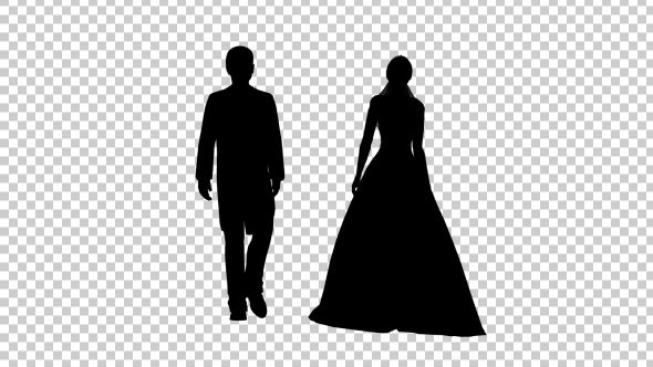 Bride And Groom Silhouette - Download Videohive 19419831