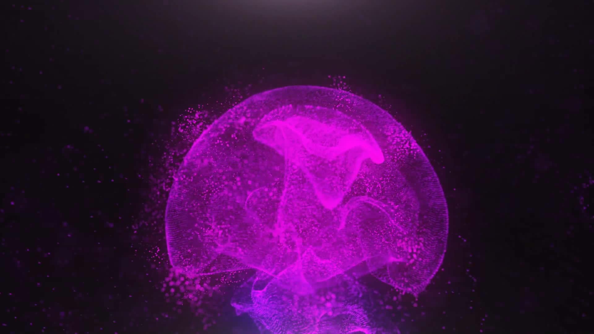 Bright Particles Flow Logo Reveal Videohive 24718492 After Effects Image 9