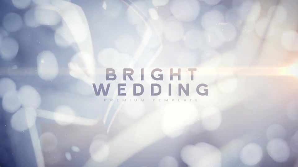 Bright Wedding Videohive 23777496 After Effects Image 12