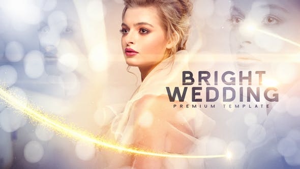 Bright Wedding - Download 23777496 Videohive