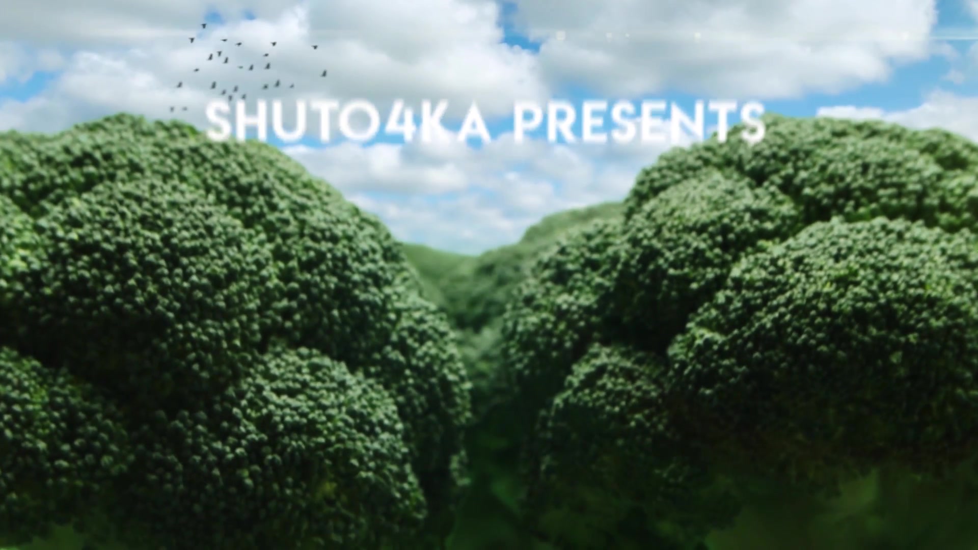Broccoli Logo Opener | Nature, Ecology, Vegetarianism Videohive 25039371 After Effects Image 4