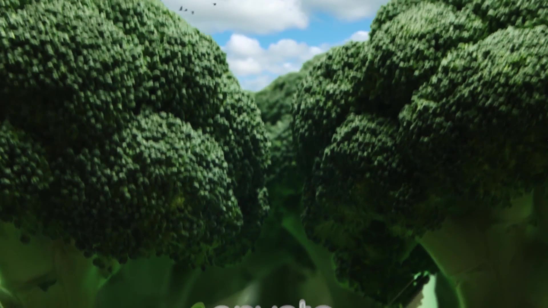 Broccoli Logo Opener | Nature, Ecology, Vegetarianism Videohive 25039371 After Effects Image 5