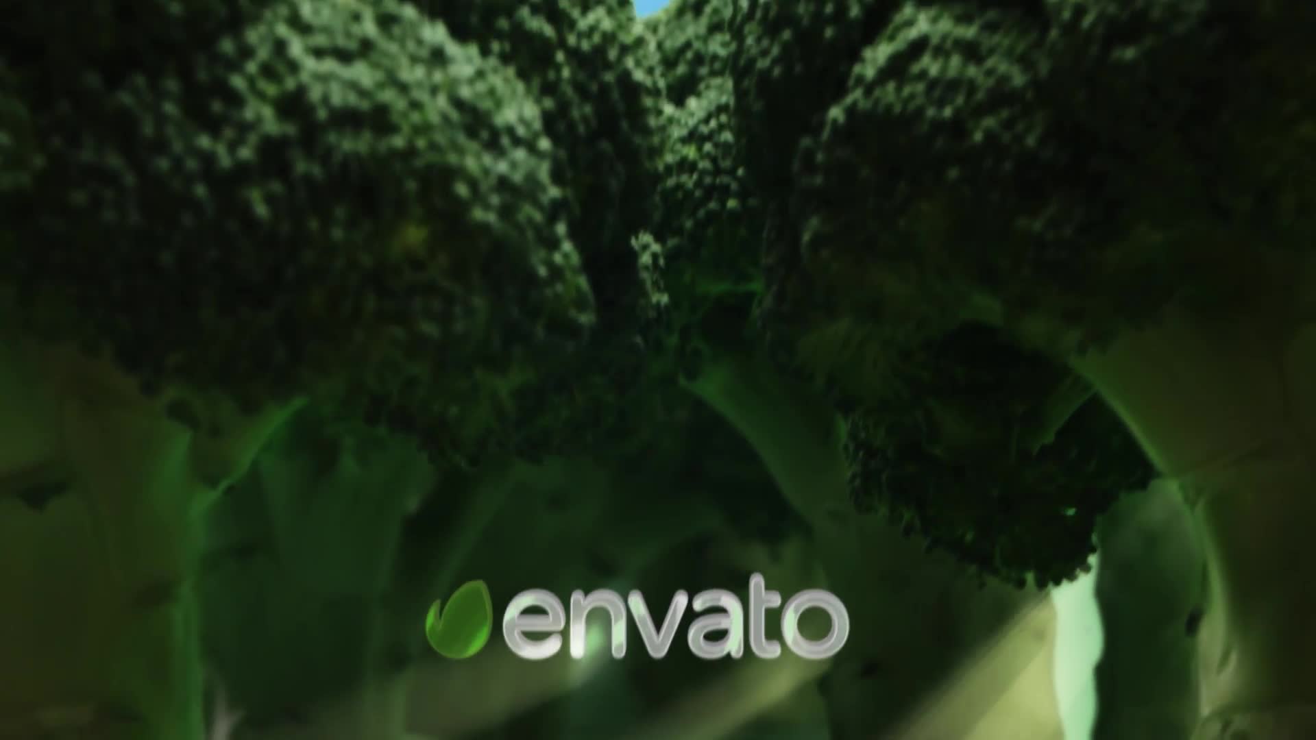 Broccoli Logo Opener | Nature, Ecology, Vegetarianism Videohive 25039371 After Effects Image 6