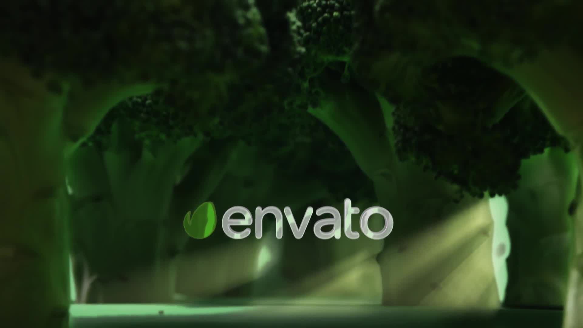 Broccoli Logo Opener | Nature, Ecology, Vegetarianism Videohive 25039371 After Effects Image 7