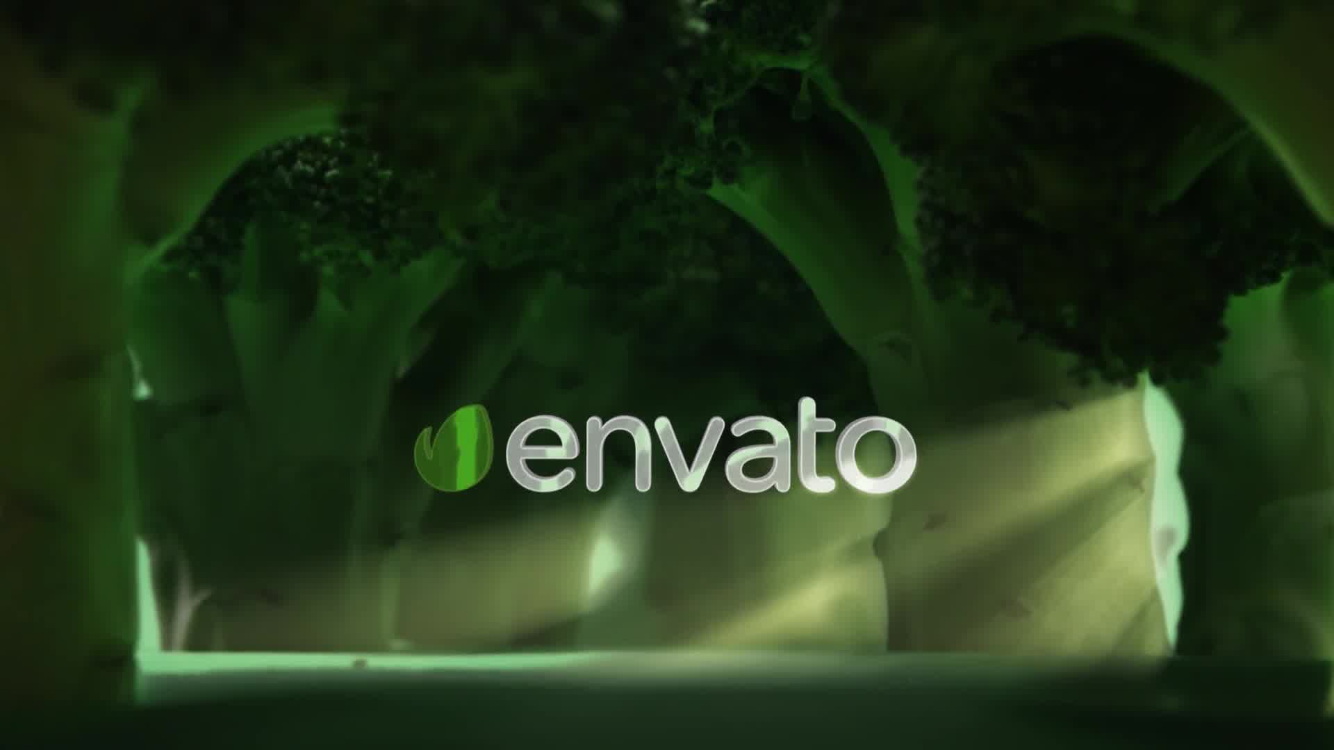 Broccoli Logo Opener | Nature, Ecology, Vegetarianism Videohive 25039371 After Effects Image 8