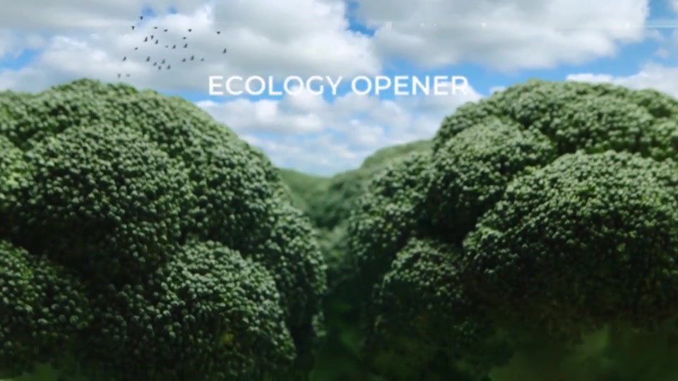 Broccoli Logo Opener | Nature, Ecology, Vegetarianism DR Videohive 33275659 DaVinci Resolve Image 4