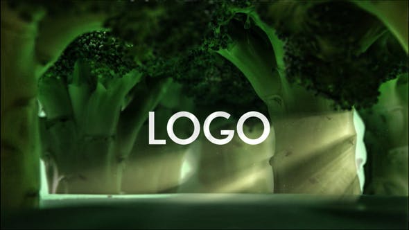 Broccoli Logo Opener | Nature, Ecology, Vegetarianism DR - 33275659 Videohive Download