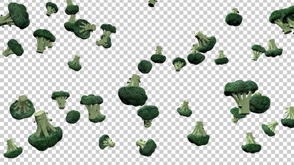 Broccoli Rain - Download Videohive 20835066