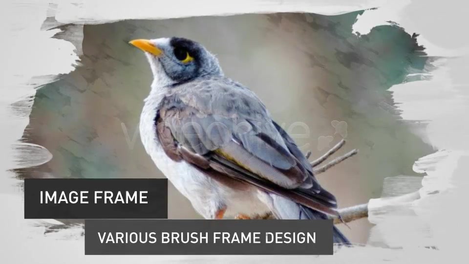 Brush Image/Video Slides - Download Videohive 4045937