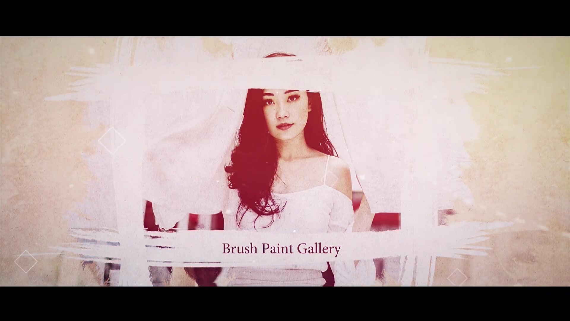 Brush Paint Gallery - Download Videohive 23101387