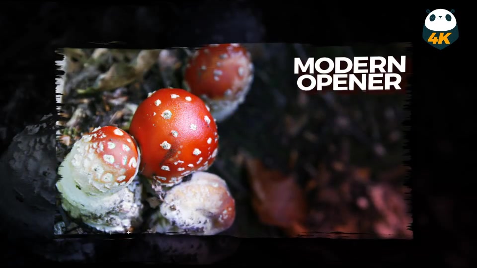 Brush Slide Videohive 20895075 After Effects Image 3