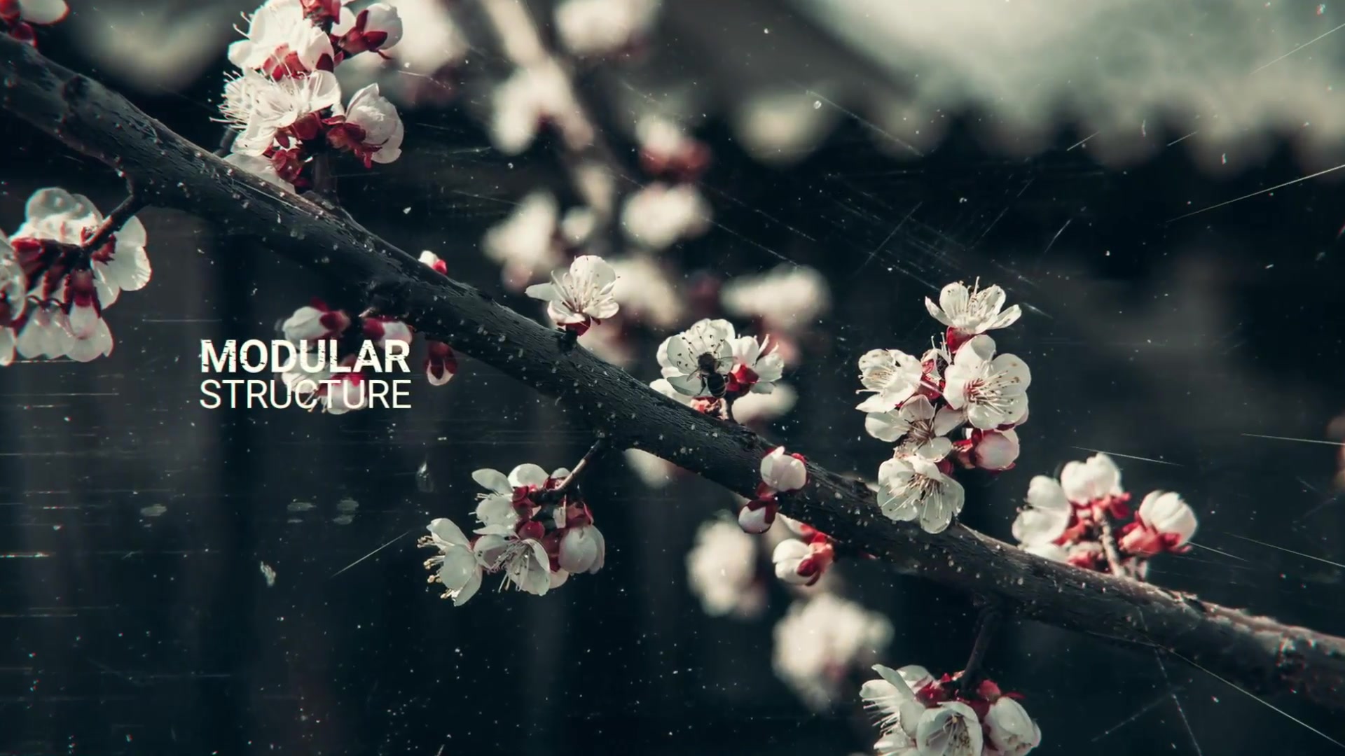 Brush Slideshow For Premiere Videohive 40061588 Premiere Pro Image 4