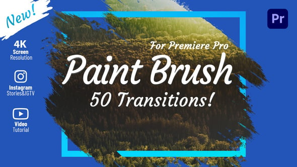 Brush Transitions - 31779011 Videohive Download