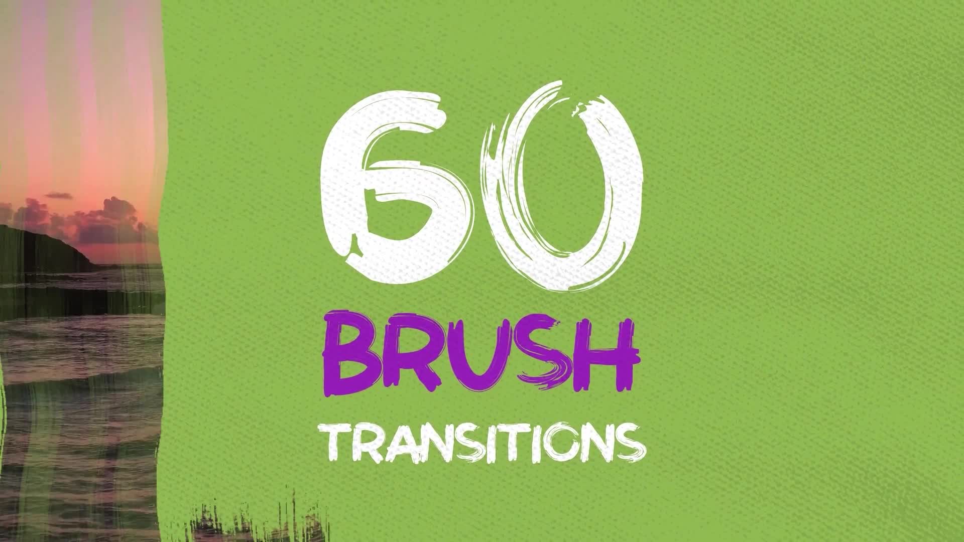 Brush Transitions Videohive 40494893 After Effects Image 1