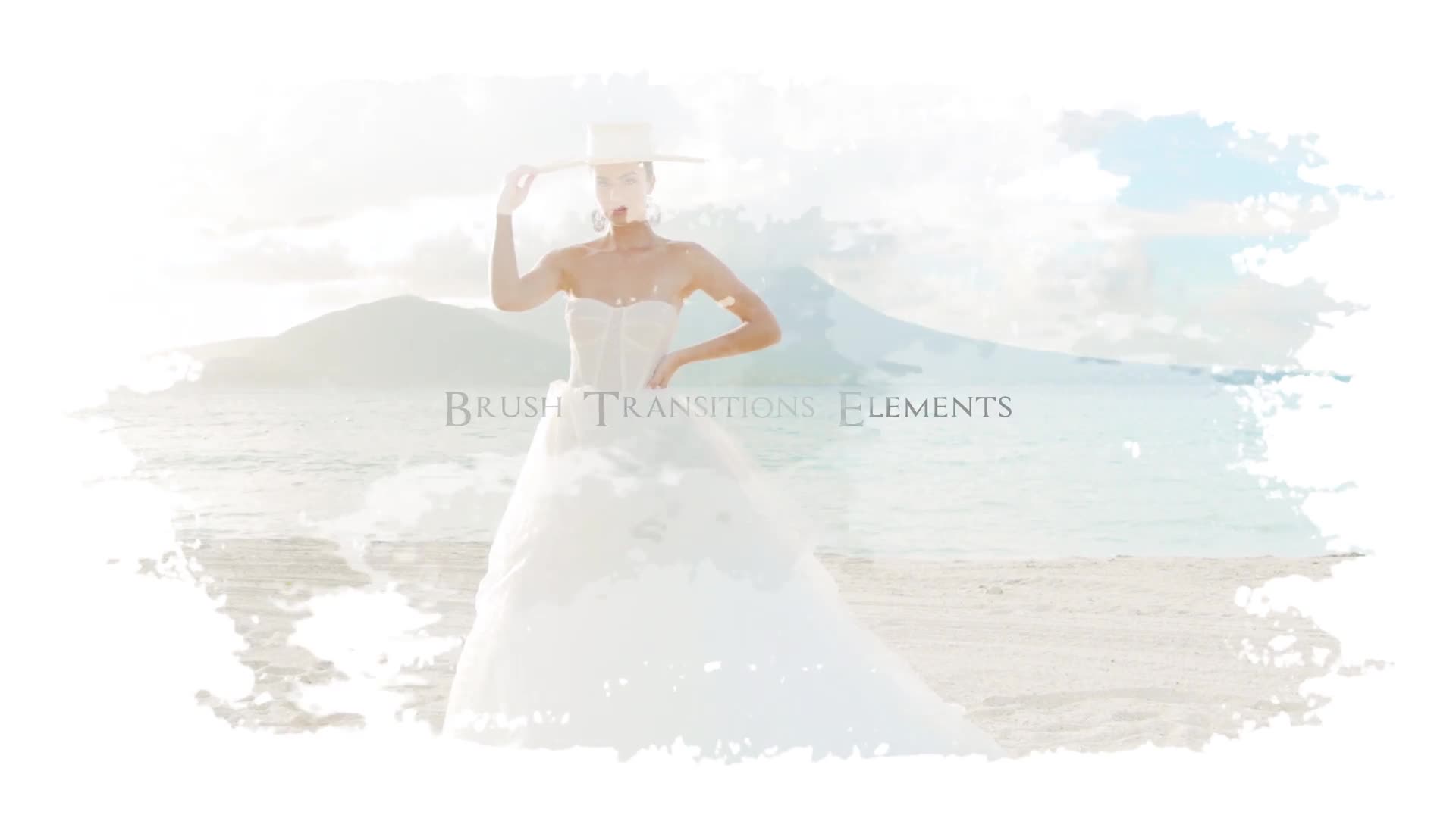 Brush Transitions Elements\AE Videohive 36381612 After Effects Image 1