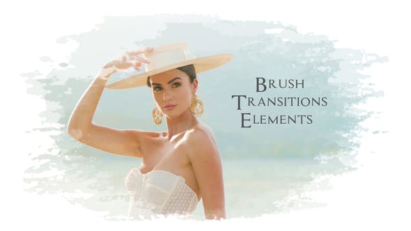 Brush Transitions Elements\AE - Videohive 36381612 Download