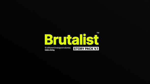 Brutalist Instagram - Download Videohive 28814640