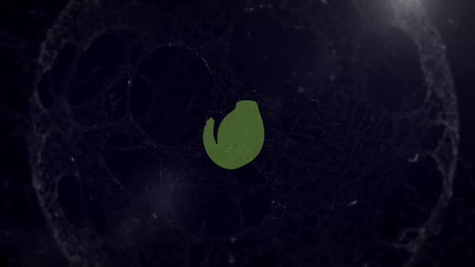 Bursting Liquid Logo Reveal Videohive 13911594 After Effects Image 5