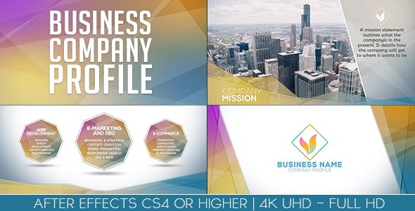 Business Company Profile - Download 20274491 Videohive