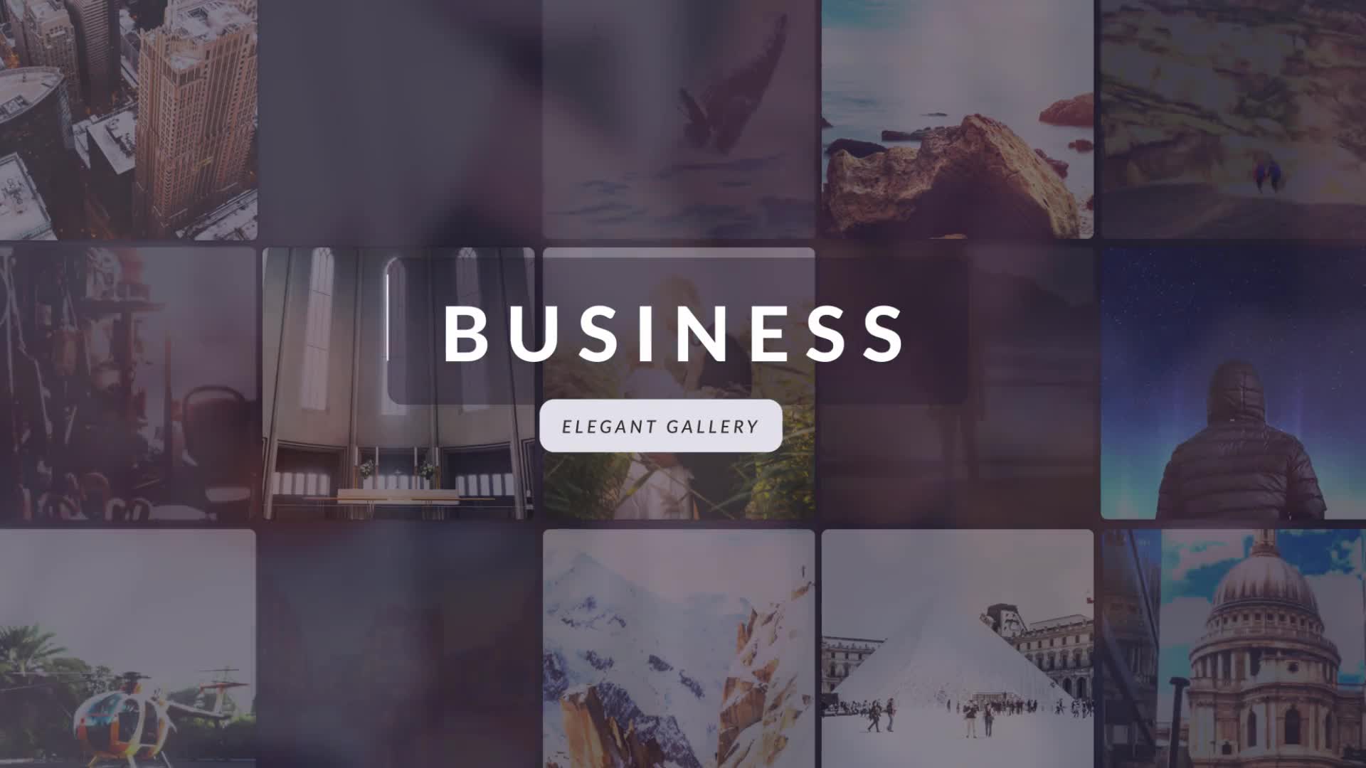 Business | Elegant Gallery - Download Videohive 19340209