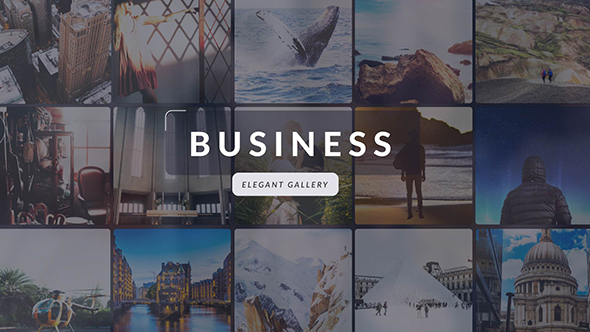 Business | Elegant Gallery - Download Videohive 19340209